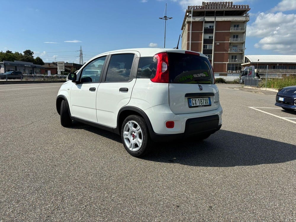 Fiat Panda usata a Pavia (12)