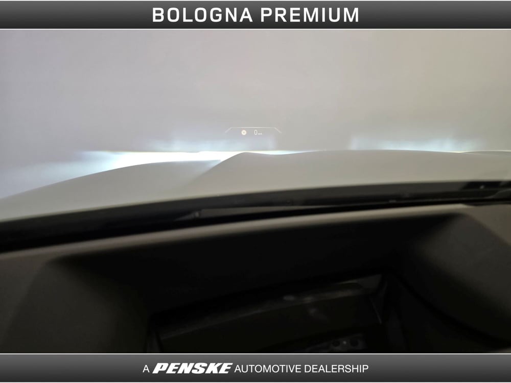 BMW X5 usata a Bologna (15)