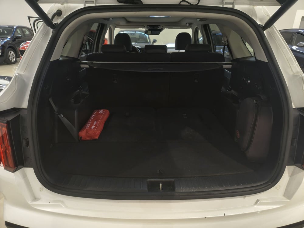 Kia Sorento usata a Vercelli (5)