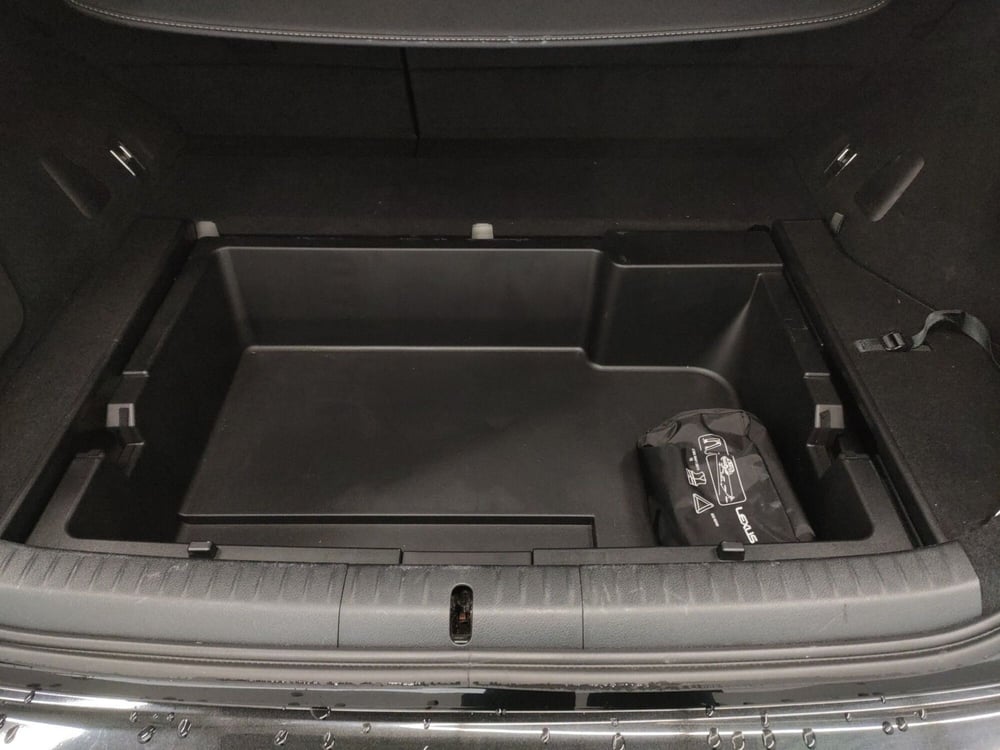 Lexus CT usata a Bologna (20)