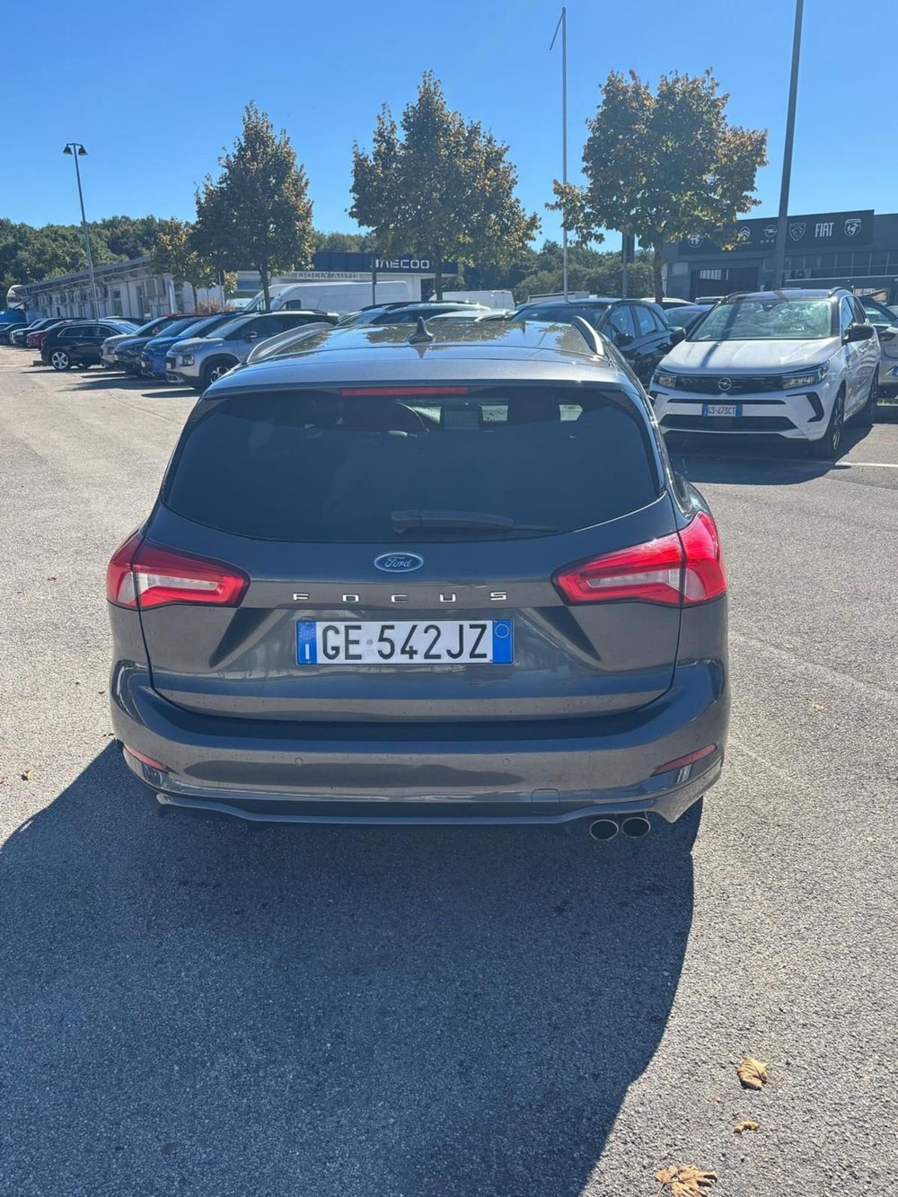 Ford Focus Station Wagon usata a Frosinone (3)