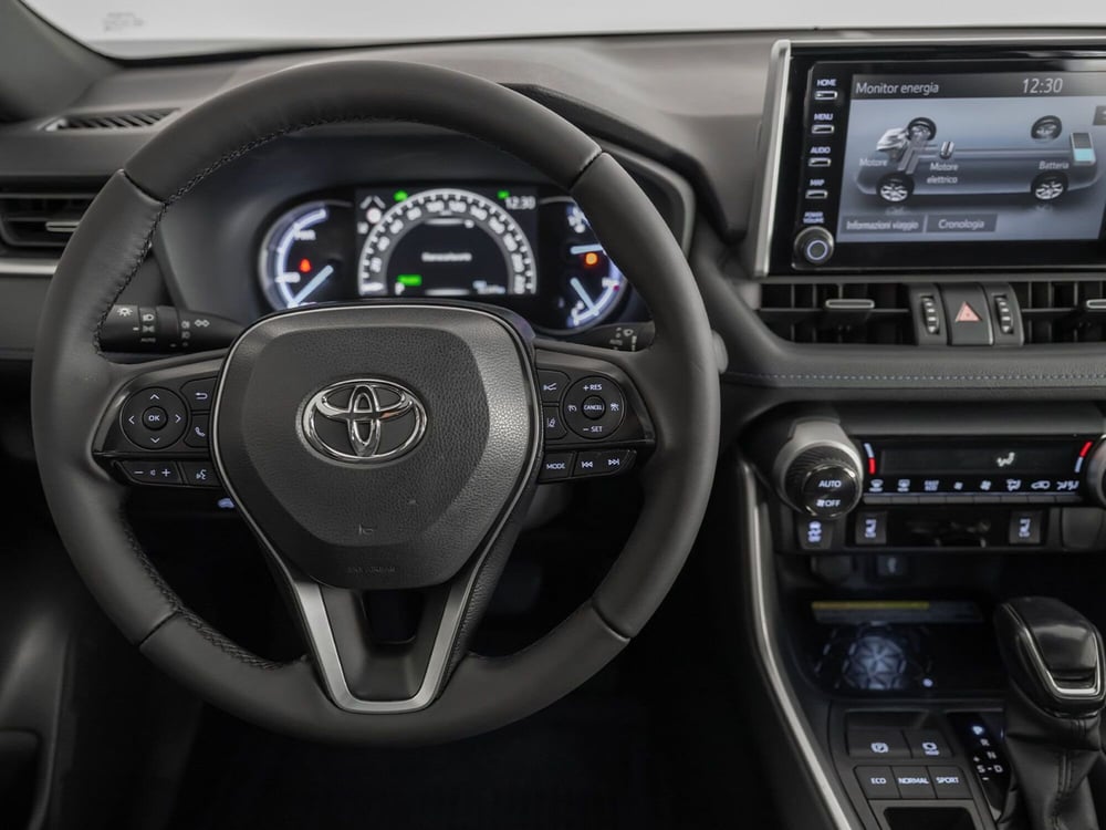 Toyota Rav4 usata a Barletta-Andria-Trani (10)