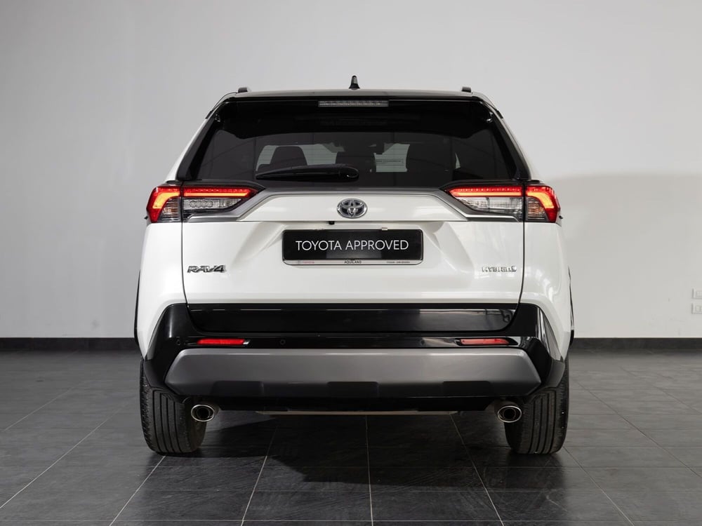 Toyota Rav4 usata a Barletta-Andria-Trani (4)