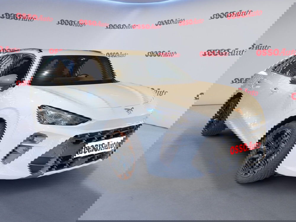 Cupra Terramar nuova a Udine (2)