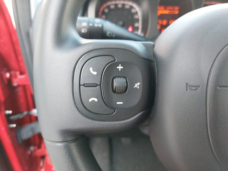 Fiat Panda Cross usata a Pavia (11)