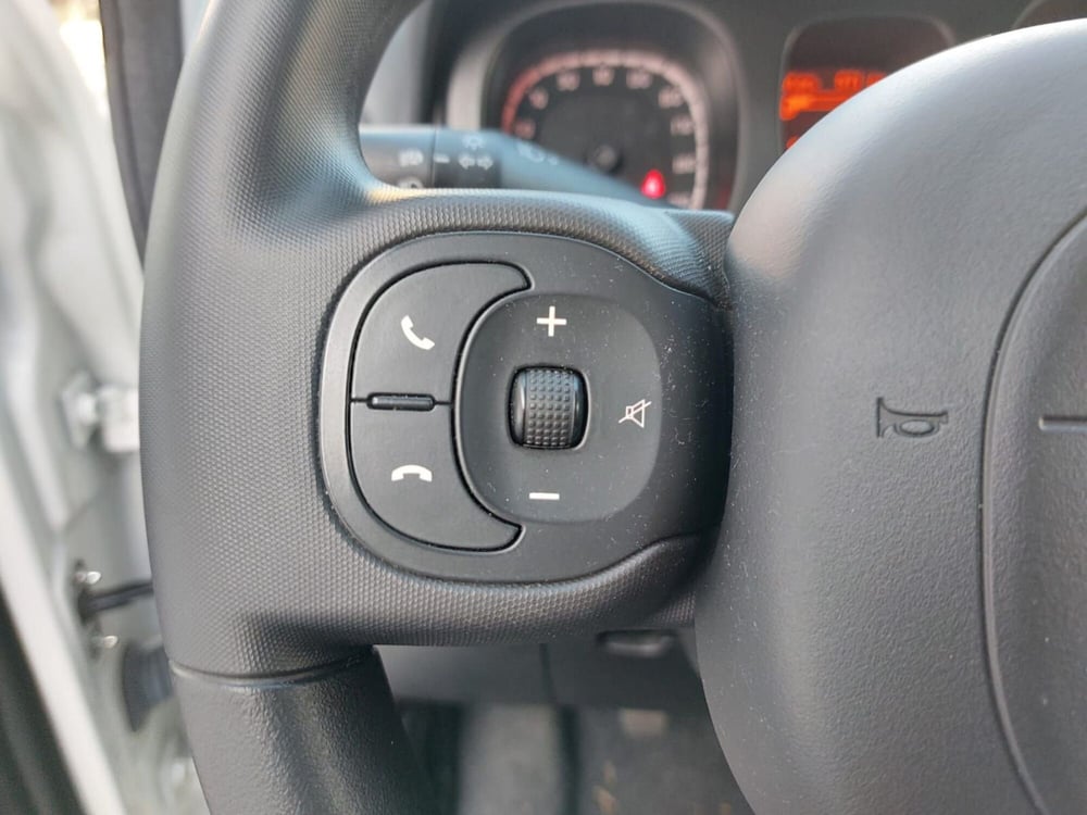 Fiat Panda Cross usata a Pavia (11)