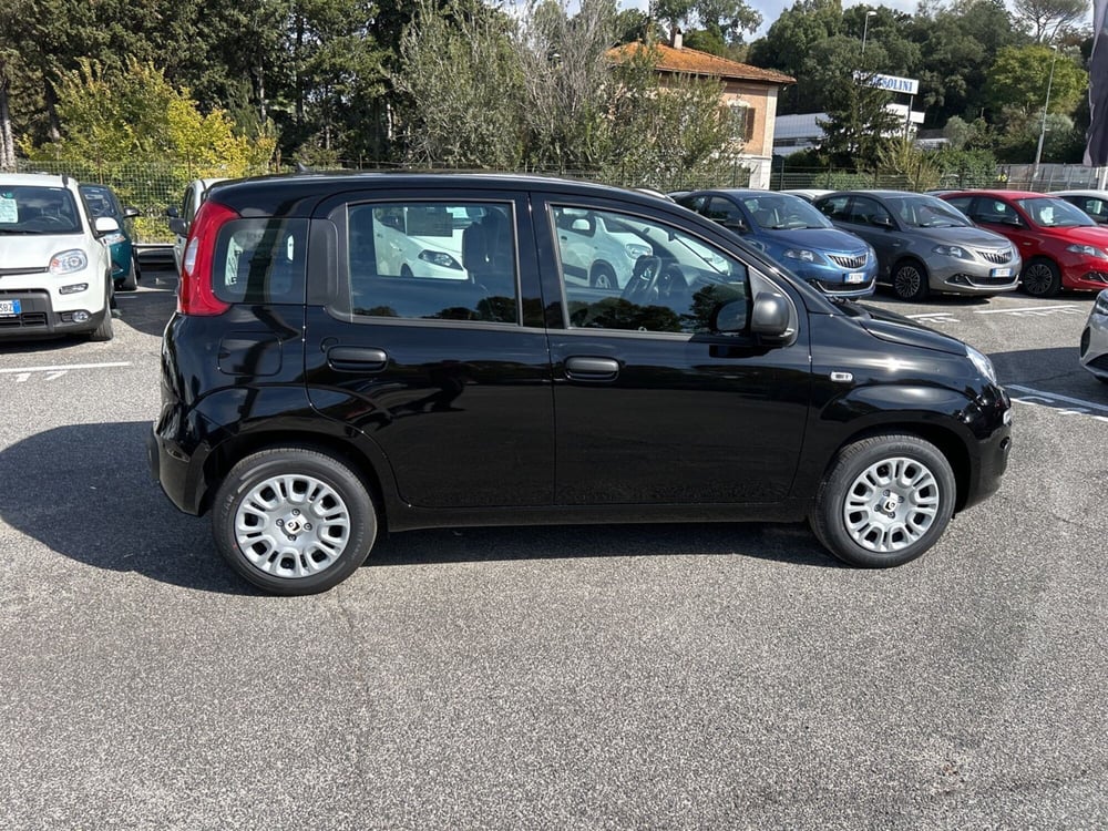Fiat Panda nuova a Roma (6)