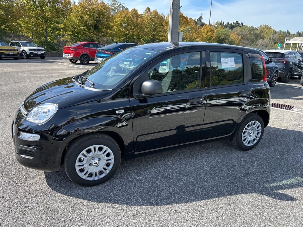 Fiat Panda nuova a Roma (8)