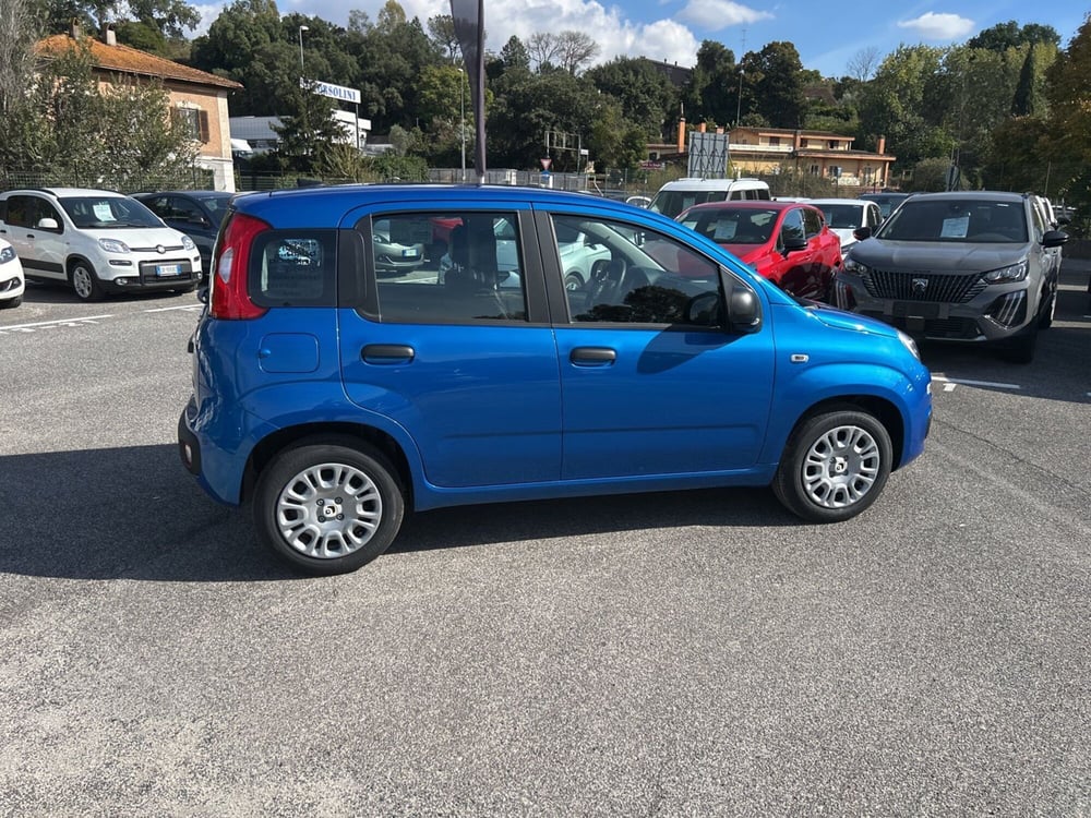 Fiat Panda nuova a Roma (6)