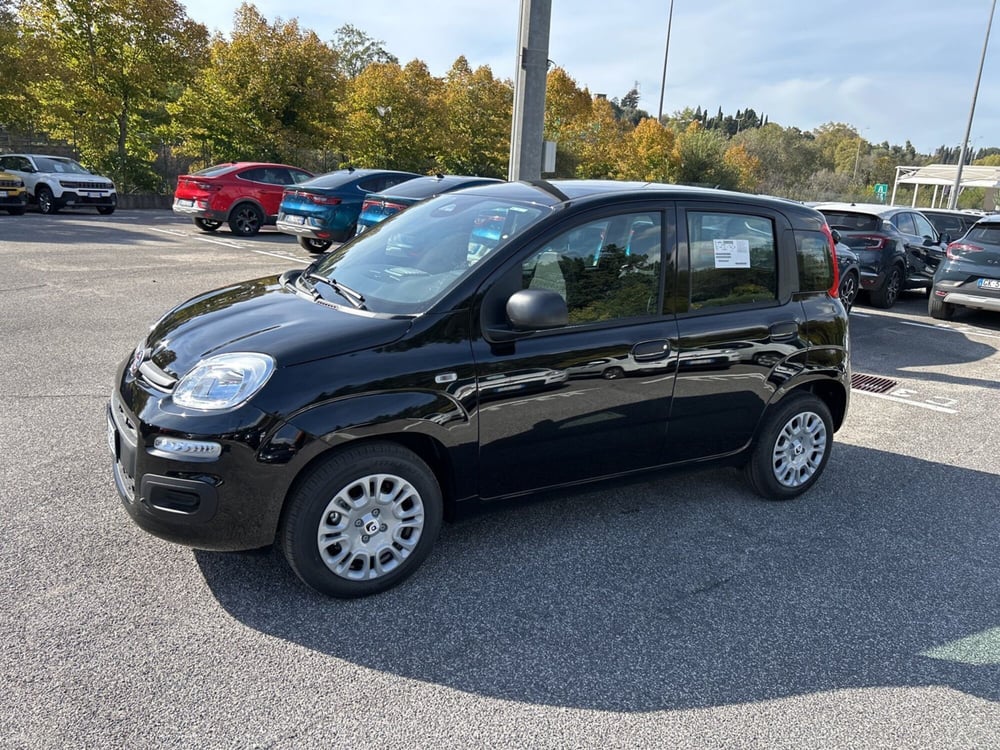 Fiat Panda nuova a Roma (8)