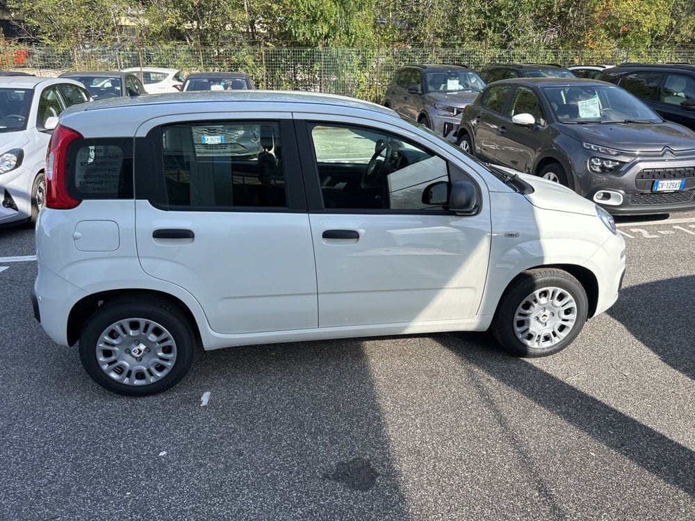 Fiat Panda nuova a Roma (6)