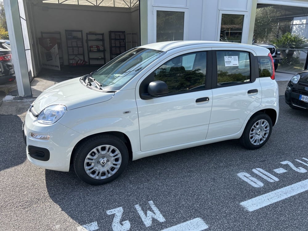 Fiat Panda nuova a Roma (8)