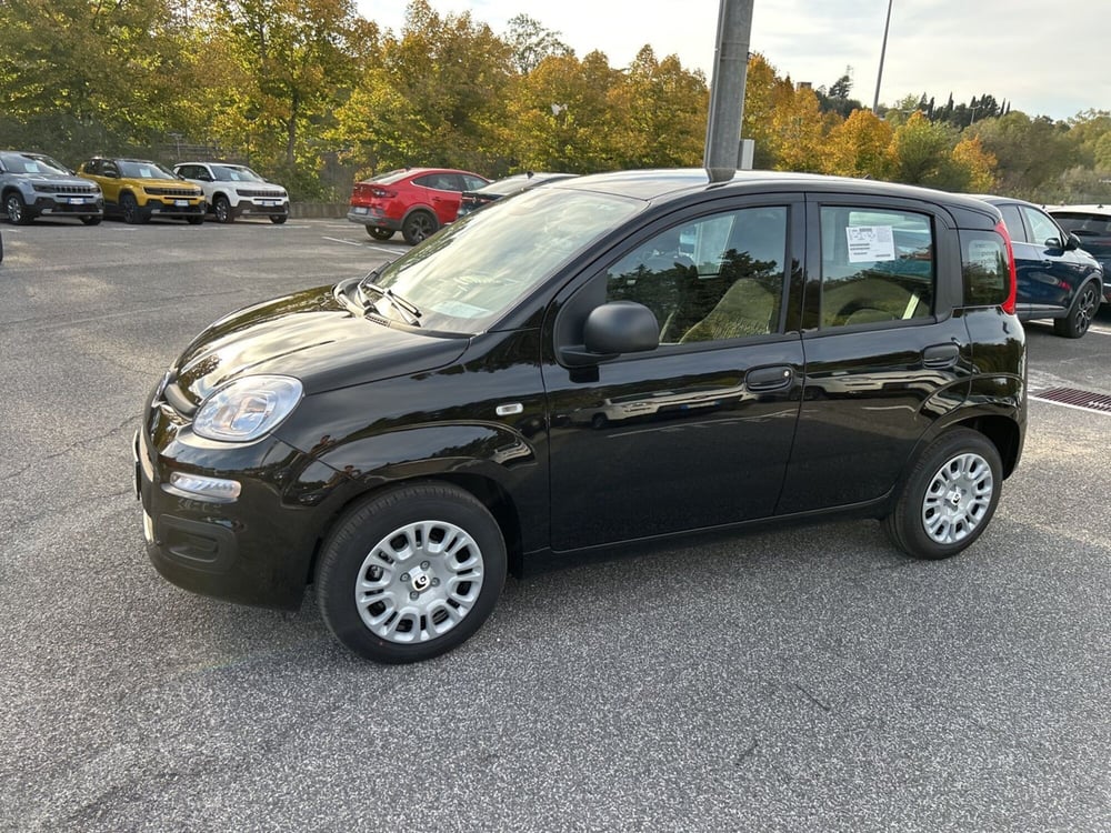 Fiat Panda nuova a Roma (8)