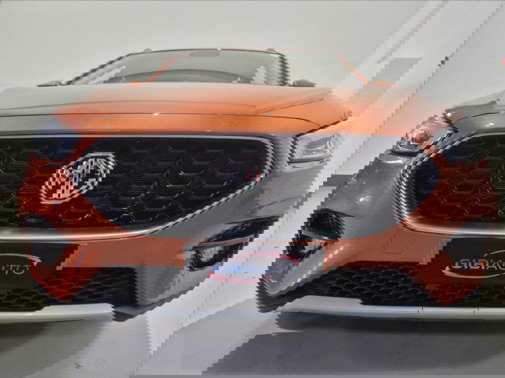Mg ZS usata a Palermo (3)