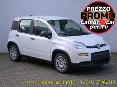 Fiat Panda 1.0 firefly hybrid s&amp;s 70cv nuova a Cologno Monzese