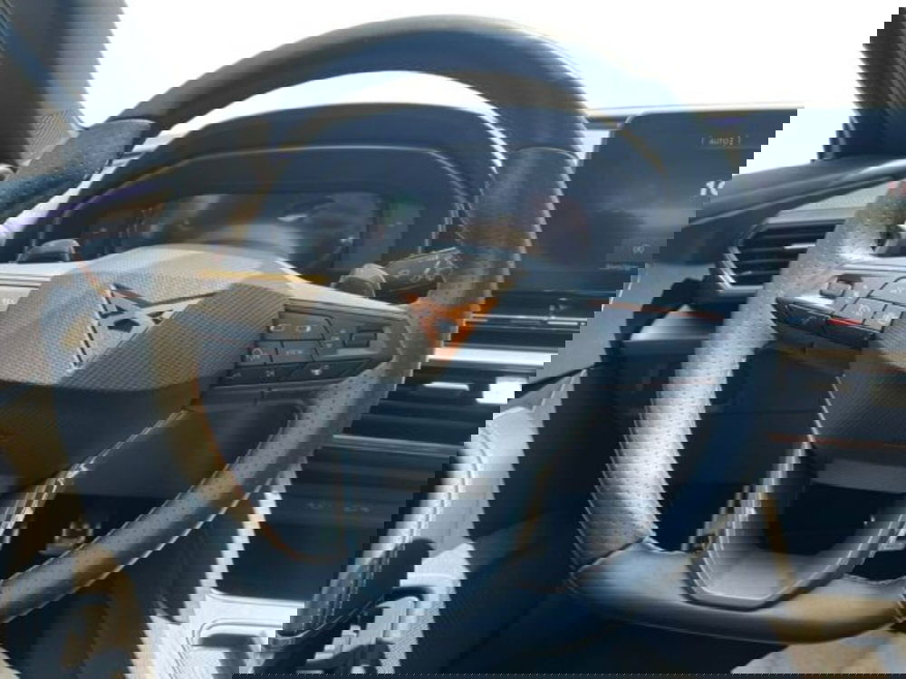 Cupra Formentor usata a Lecce (12)