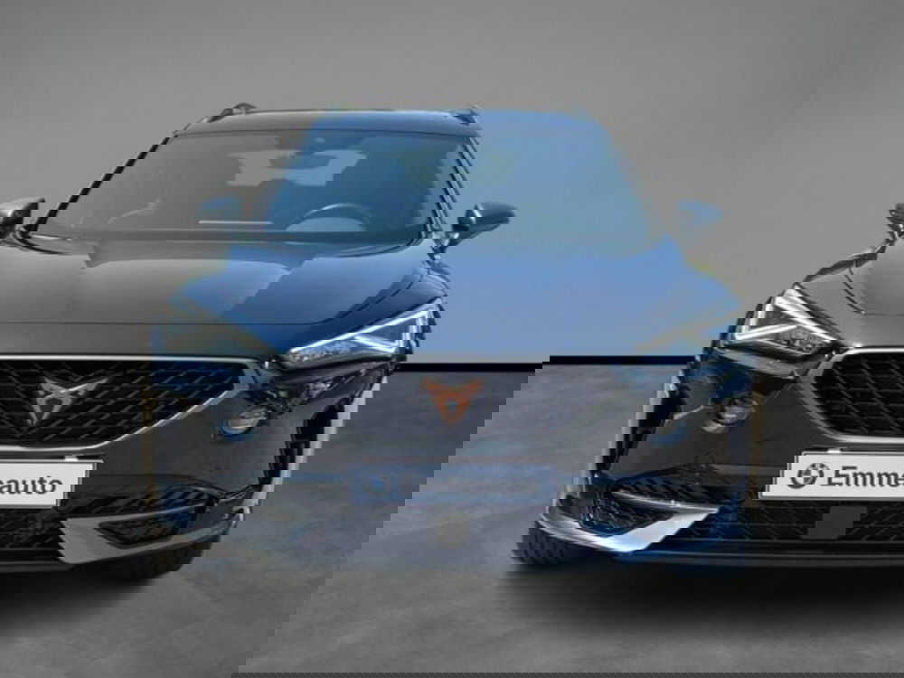 Cupra Formentor usata a Lecce (7)