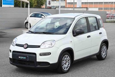 Fiat Panda 1.0 firefly hybrid s&amp;s 70cv 5p.ti del 2023 usata a Pianezza