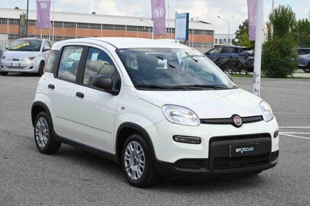 Fiat Panda usata a Torino (3)