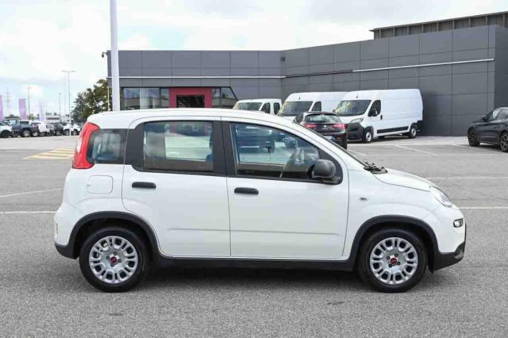 Fiat Panda usata a Torino (4)