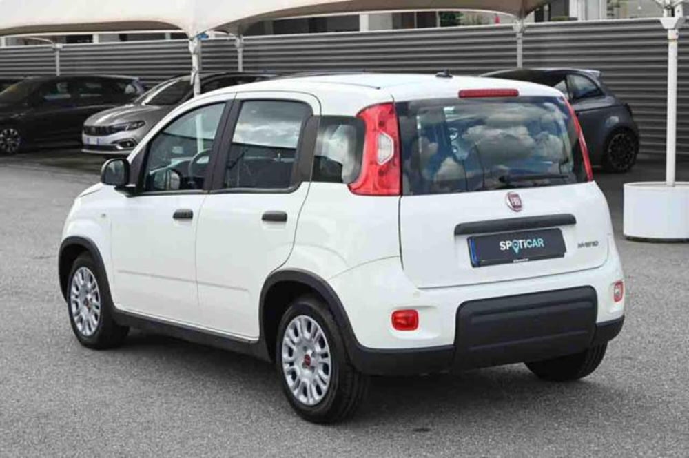 Fiat Panda usata a Torino (7)