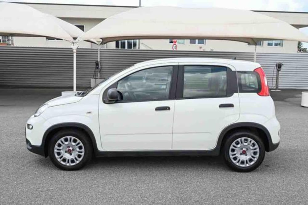 Fiat Panda usata a Torino (8)