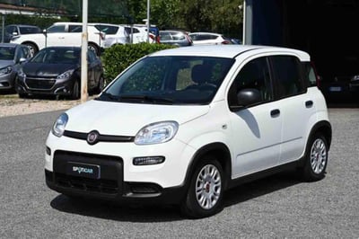 Fiat Panda 1.0 firefly hybrid s&amp;s 70cv 5p.ti del 2023 usata a Pianezza