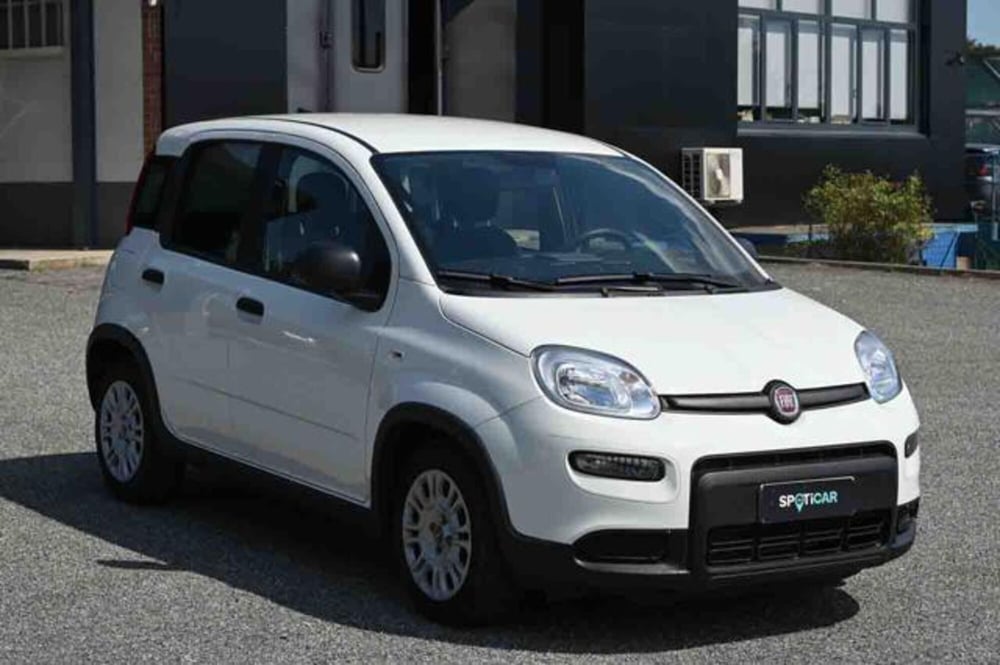 Fiat Panda usata a Torino (2)