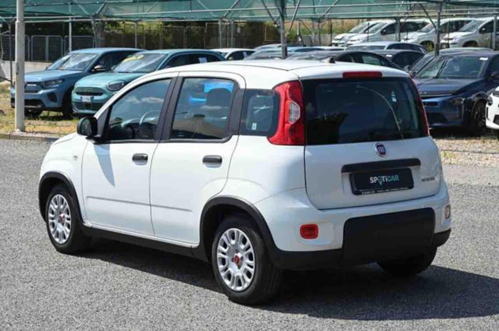 Fiat Panda usata a Torino (4)