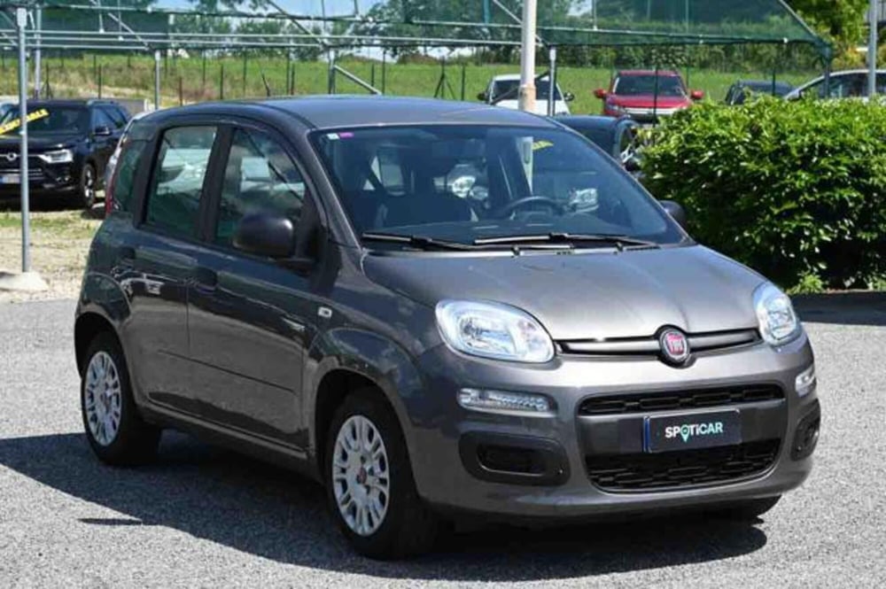 Fiat Panda usata a Torino (2)