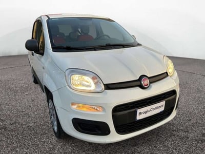 Fiat Panda 1.2 Young del 2016 usata a Empoli