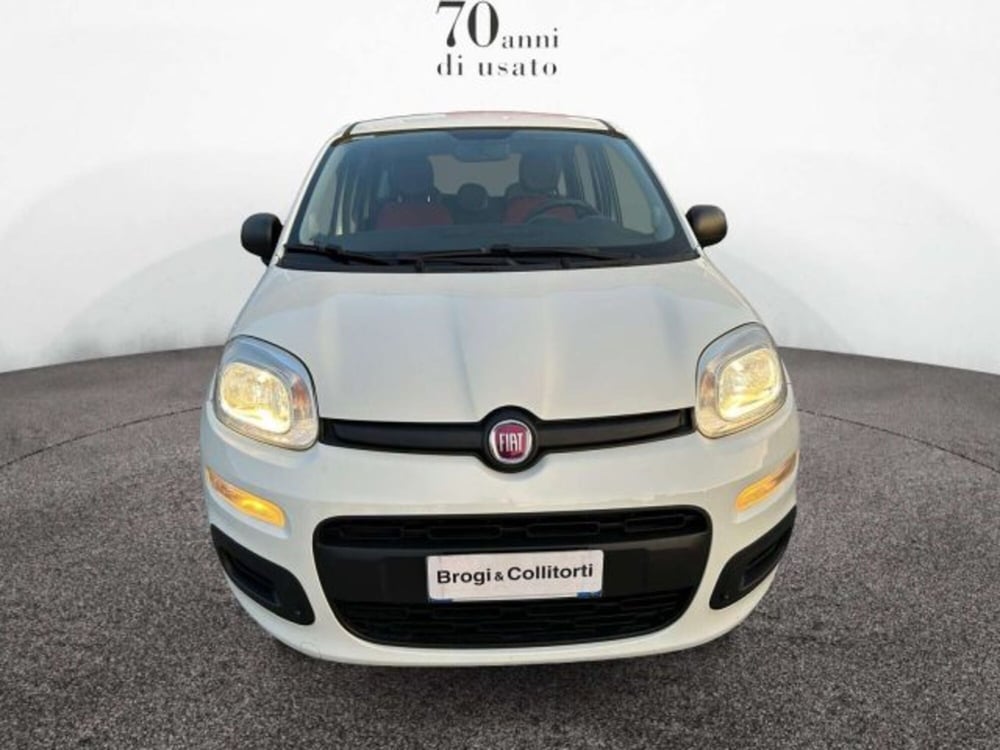 Fiat Panda usata a Firenze (2)