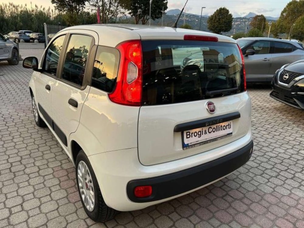 Fiat Panda usata a Firenze (6)