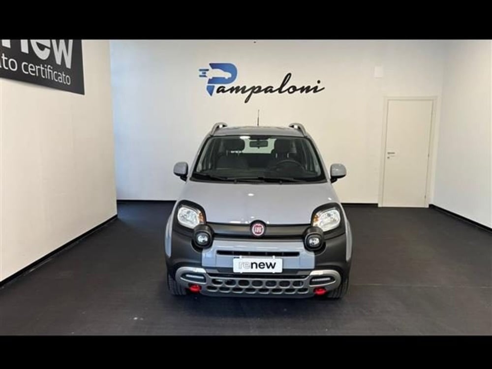 Fiat Panda usata a Siena (2)