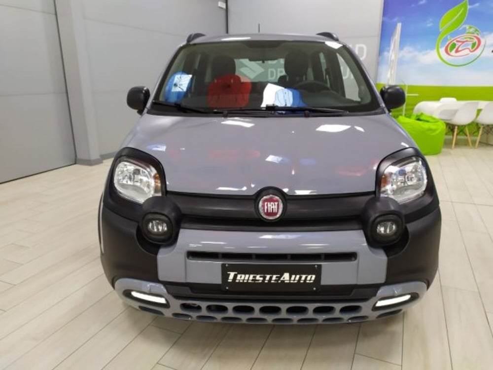 Fiat Panda usata a Trieste (2)