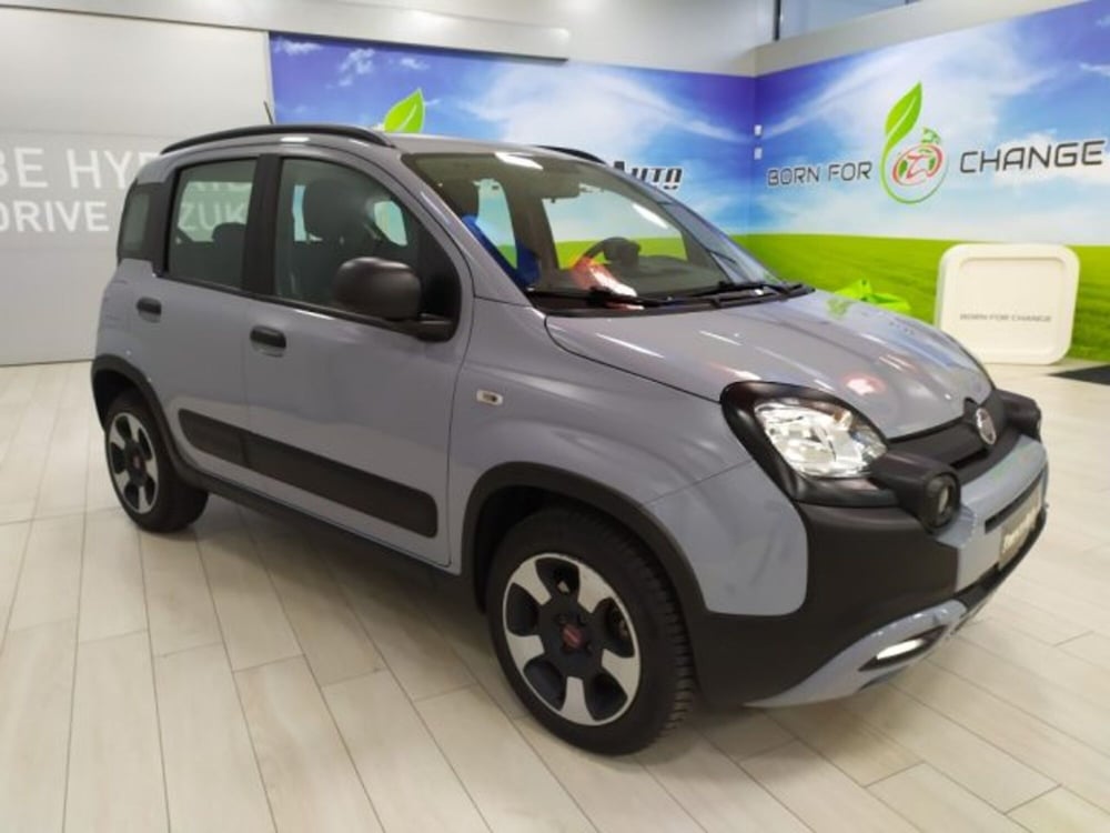 Fiat Panda usata a Trieste (3)
