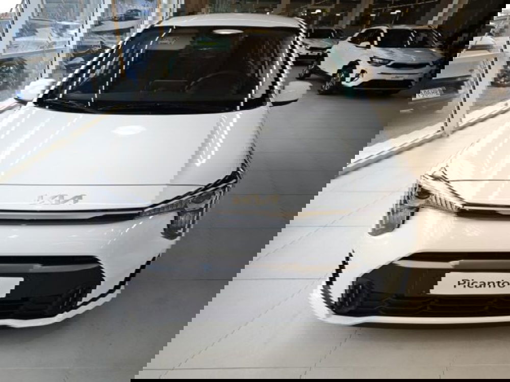 Kia Picanto nuova a Vicenza (2)