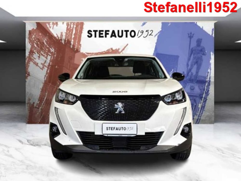 Peugeot 2008 usata a Bologna (2)