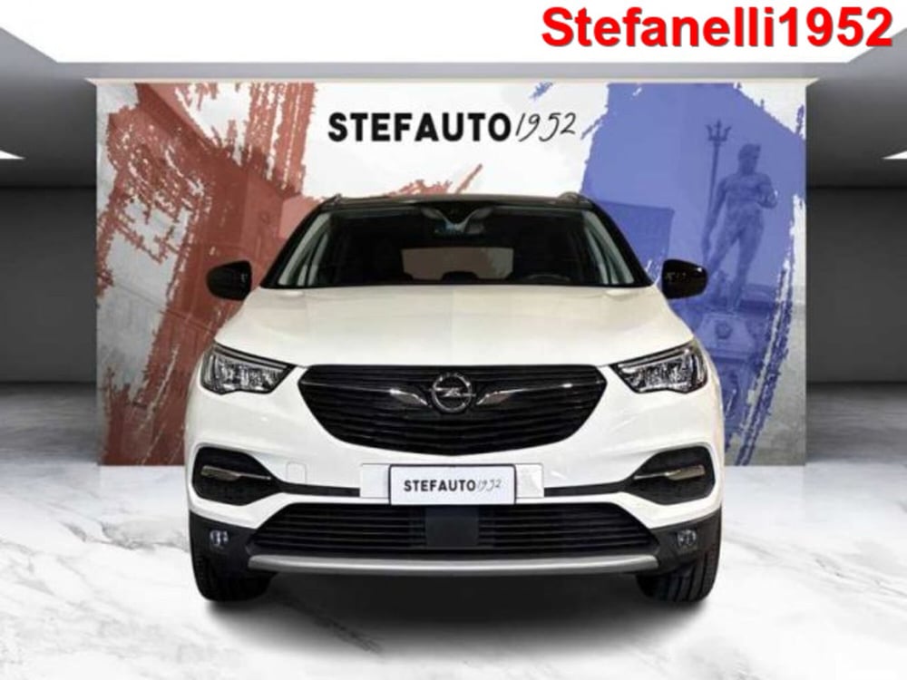Opel Grandland X usata a Bologna (2)