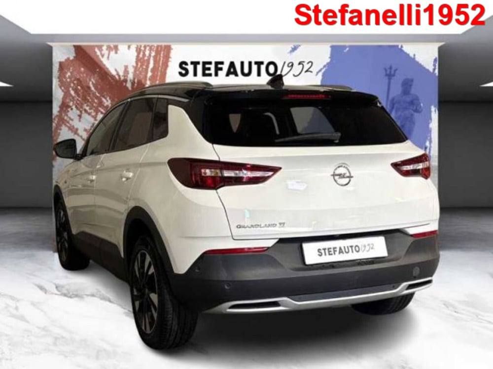 Opel Grandland X usata a Bologna (5)