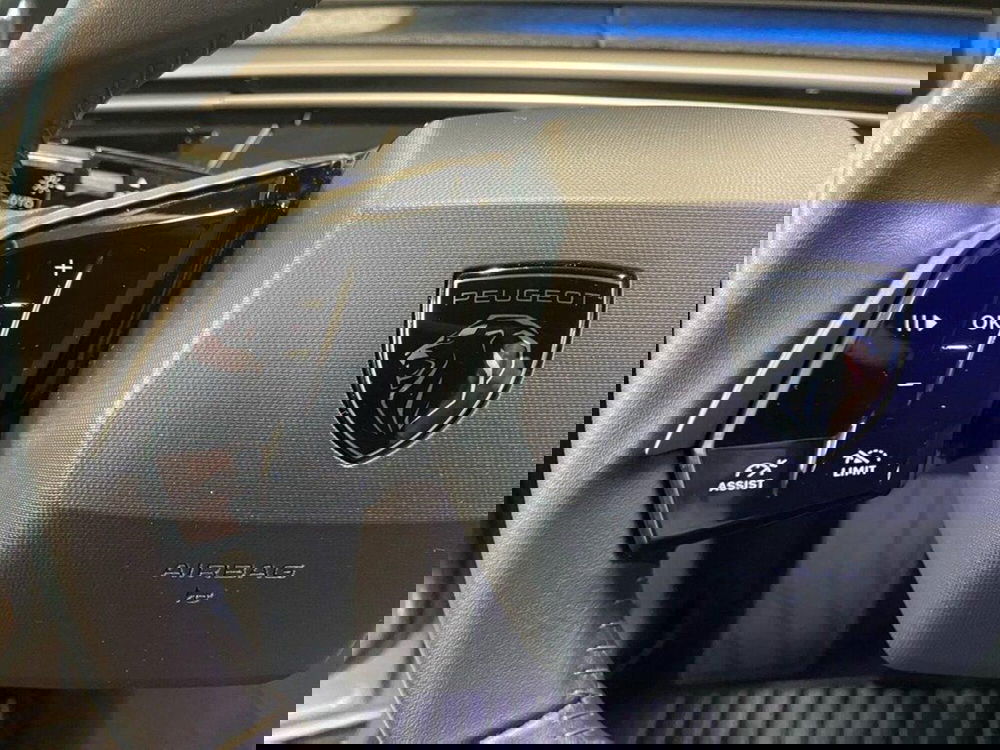 Peugeot 3008 usata a Torino (13)