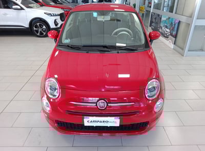 Fiat 500 1.0 Hybrid Cult del 2021 usata a Acqui Terme