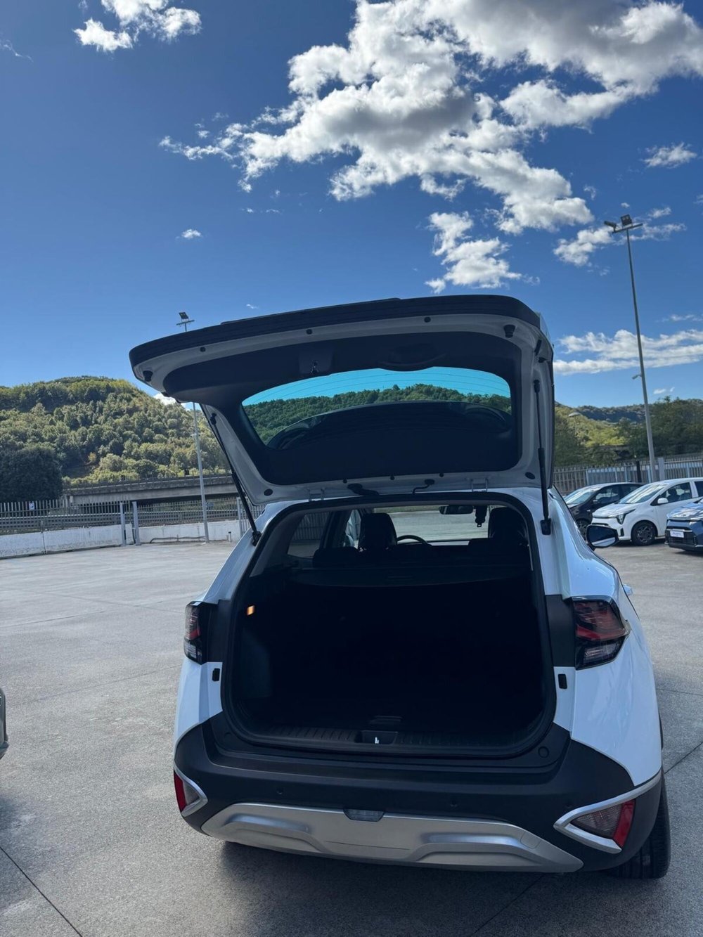 Kia Sportage usata a Cosenza (3)