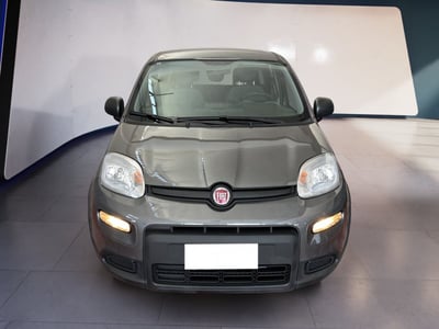 Fiat Panda 1.0 firefly hybrid s&amp;s 70cv 5p.ti del 2022 usata a Torino
