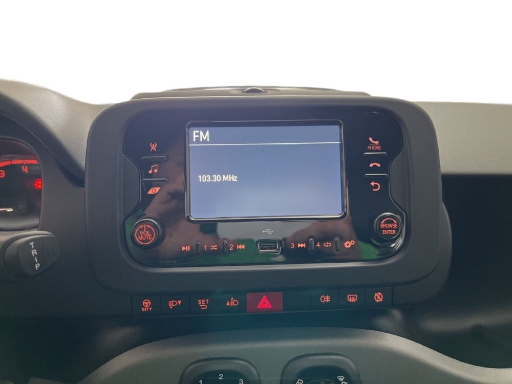 Fiat Panda usata a Torino (13)