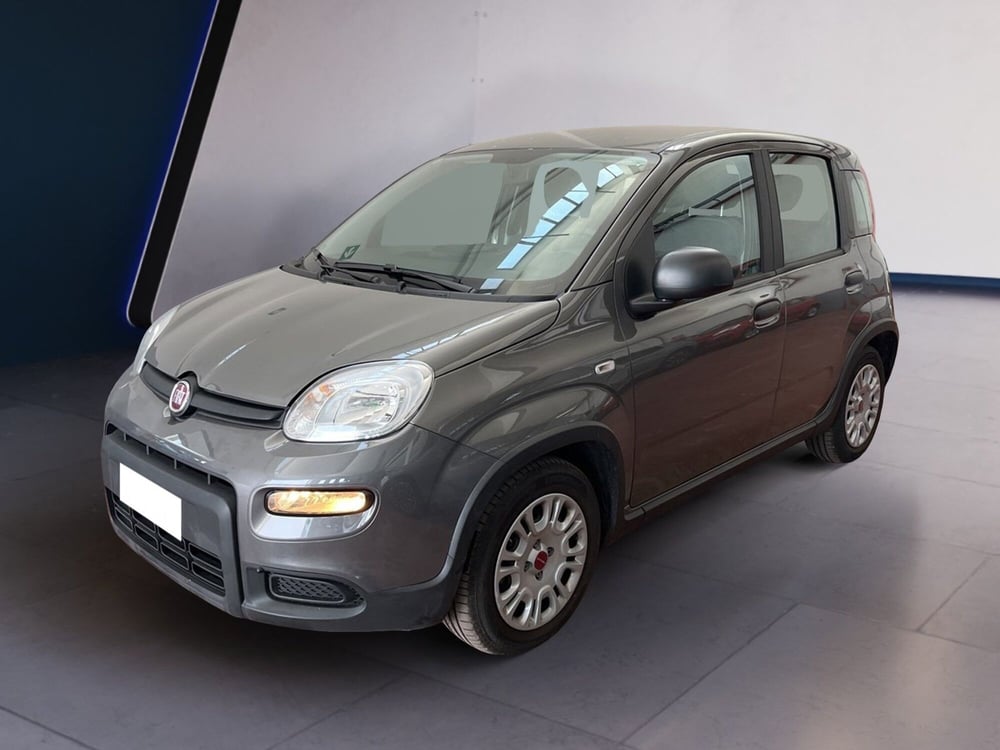 Fiat Panda usata a Torino (2)