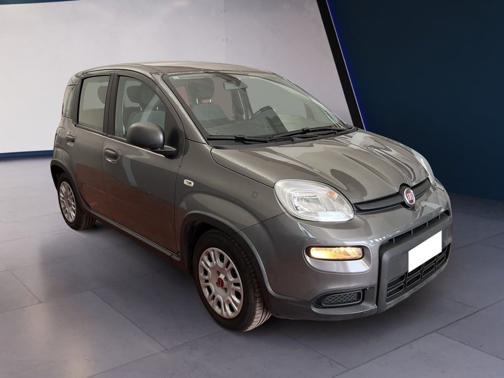 Fiat Panda usata a Torino (3)