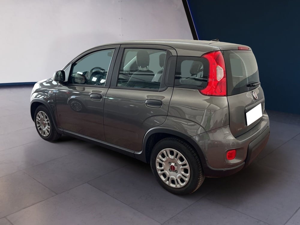 Fiat Panda usata a Torino (6)