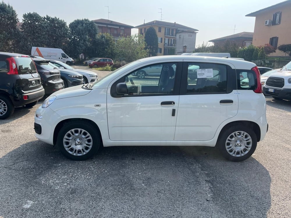 Fiat Panda Cross nuova a Milano (5)