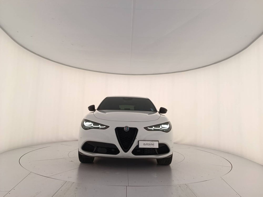 Alfa Romeo Stelvio usata a Treviso (2)